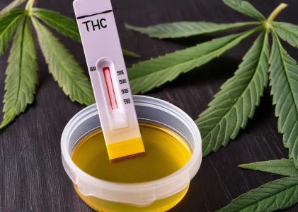 Test antidroga per il THC: Metodi, tempi di rilevamento e consigli per la preparazione