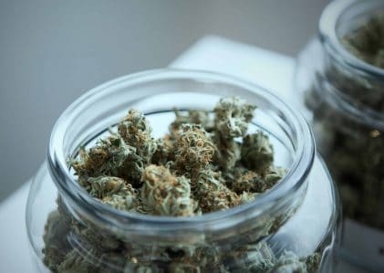 Qu’est-ce que le Spice et le K2 ?