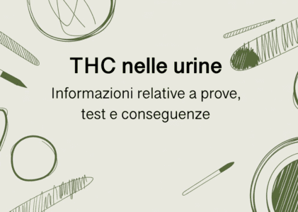 THC nelle urine: cosa è necessario sapere riguardo alla rilevazione, ai test e alle conseguenze