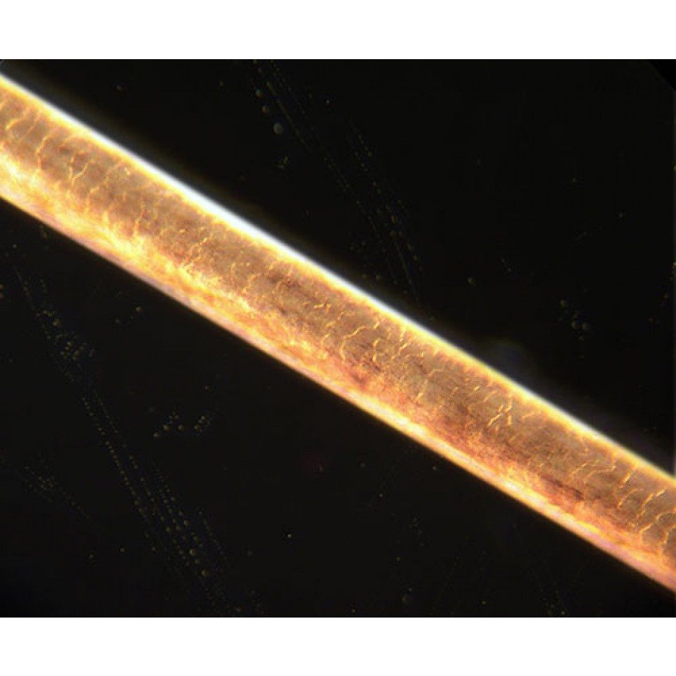 Capello singolo per l'analisi delle sostanze psicoattive